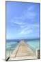 Grand Turk III-George Johnson-Mounted Art Print