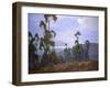 Grand Vista-Elmer Wachtel-Framed Art Print