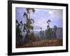 Grand Vista-Elmer Wachtel-Framed Art Print