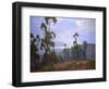 Grand Vista-Elmer Wachtel-Framed Art Print