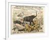 Grand Zoological Aggregation of Rare and Costly Animals with Batcheller and Doris-American School-Framed Giclee Print