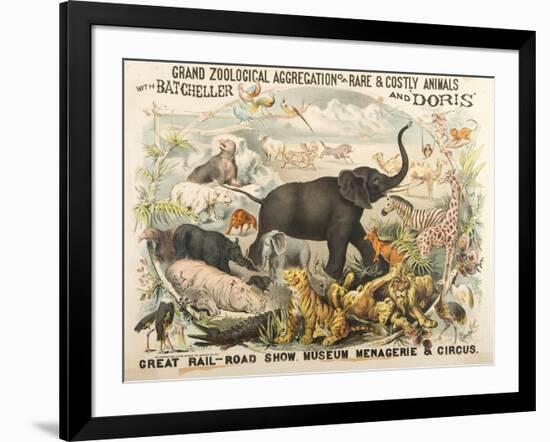 Grand Zoological Aggregation of Rare and Costly Animals with Batcheller and Doris-American School-Framed Giclee Print