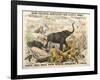 Grand Zoological Aggregation of Rare and Costly Animals with Batcheller and Doris-American School-Framed Giclee Print