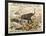 Grand Zoological Aggregation of Rare and Costly Animals with Batcheller and Doris-American School-Framed Giclee Print