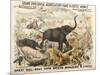 Grand Zoological Aggregation of Rare and Costly Animals with Batcheller and Doris-American School-Mounted Giclee Print