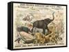 Grand Zoological Aggregation of Rare and Costly Animals with Batcheller and Doris-American School-Framed Stretched Canvas