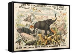 Grand Zoological Aggregation of Rare and Costly Animals with Batcheller and Doris-American School-Framed Stretched Canvas