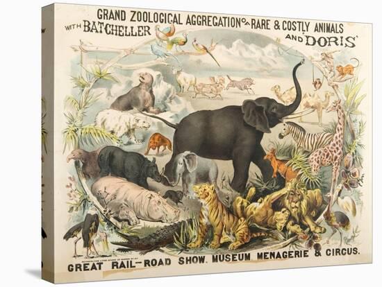 Grand Zoological Aggregation of Rare and Costly Animals with Batcheller and Doris-American School-Stretched Canvas