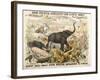 Grand Zoological Aggregation of Rare and Costly Animals with Batcheller and Doris-American School-Framed Giclee Print