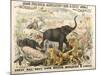 Grand Zoological Aggregation of Rare and Costly Animals with Batcheller and Doris-American School-Mounted Giclee Print