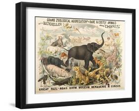 Grand Zoological Aggregation of Rare and Costly Animals with Batcheller and Doris-American School-Framed Giclee Print