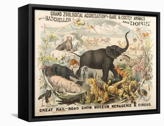 Grand Zoological Aggregation of Rare and Costly Animals with Batcheller and Doris-American School-Framed Stretched Canvas