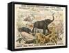 Grand Zoological Aggregation of Rare and Costly Animals with Batcheller and Doris-American School-Framed Stretched Canvas