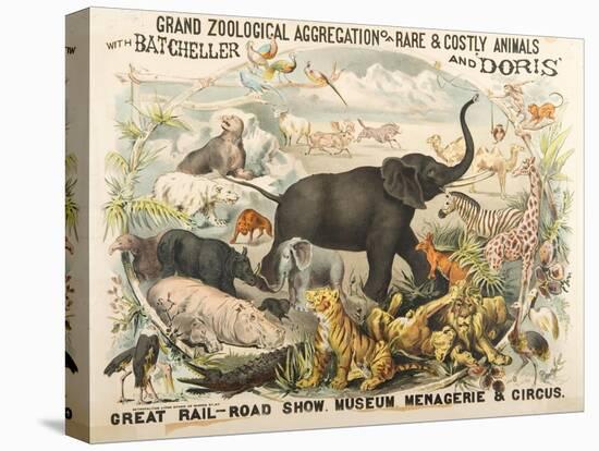 Grand Zoological Aggregation of Rare and Costly Animals with Batcheller and Doris-American School-Stretched Canvas