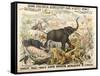 Grand Zoological Aggregation of Rare and Costly Animals with Batcheller and Doris-American School-Framed Stretched Canvas