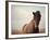 Grand-Irene Suchocki-Framed Giclee Print