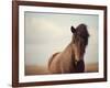 Grand-Irene Suchocki-Framed Giclee Print