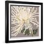 Grande and Glorious-Judy Shelby-Framed Art Print