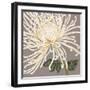 Grande and Glorious-Judy Shelby-Framed Art Print