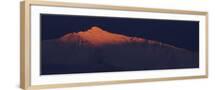 Brown Frame