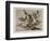 Grande Hazaña! Con Muertos! (A Heroic Feat! with Dead Men) Plate 39 from the Disasters of War (Los-Francisco de Goya-Framed Giclee Print