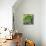 Grande Jatte-Howie Green-Mounted Giclee Print displayed on a wall