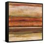 Grande Spectrum II-Michael Brey-Framed Stretched Canvas