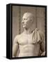 Grande statue nue héroïque: Jules César (Caïus Julius Caesar 100 avant J.C- 44 avant J.C)-null-Framed Stretched Canvas