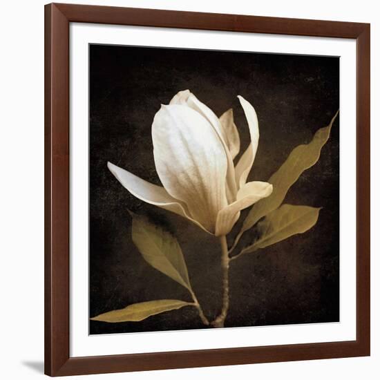 Grandeur-Ily Szilagyi-Framed Art Print