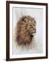 Grandeur-Ruane Manning-Framed Art Print