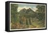 Grandfather Moutain-null-Framed Stretched Canvas