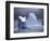 Grandidier Channel, Pleneau Island, Grounded Iceberg, Antarctica-Allan White-Framed Photographic Print