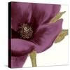 Grandiflora Blush I-Linda Wood-Stretched Canvas