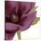 Grandiflora Blush I-Linda Wood-Stretched Canvas
