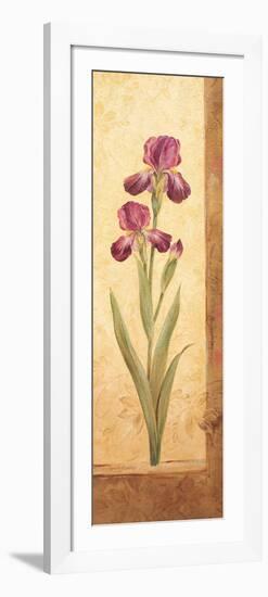 Grandiflora II-Pamela Gladding-Framed Premium Giclee Print