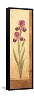 Grandiflora II-Pamela Gladding-Framed Stretched Canvas