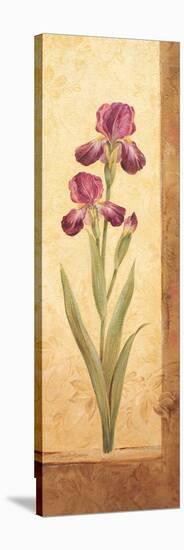 Grandiflora II-Pamela Gladding-Stretched Canvas