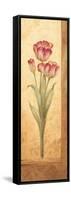 Grandiflora IV-Pamela Gladding-Framed Stretched Canvas