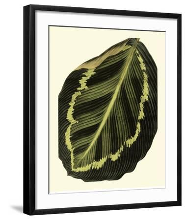 Grandiose Leaves IV--Framed Giclee Print