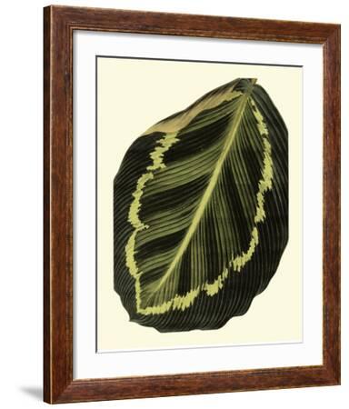 Grandiose Leaves IV--Framed Giclee Print