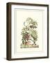 Grandiose View I-Abraham Munting-Framed Art Print