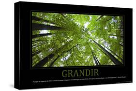 Grandir (French Translation)-null-Stretched Canvas