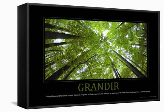 Grandir (French Translation)-null-Framed Stretched Canvas