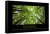 Grandir (French Translation)-null-Framed Stretched Canvas