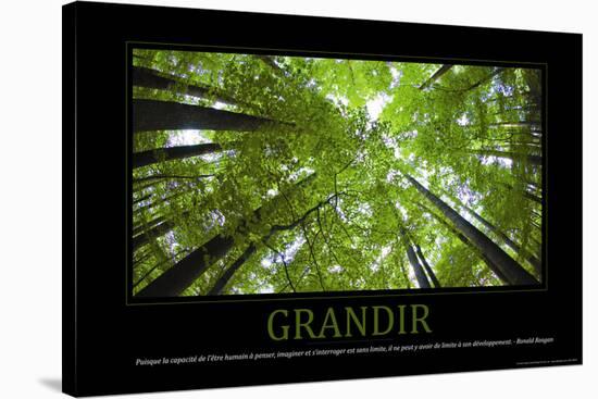 Grandir (French Translation)-null-Stretched Canvas