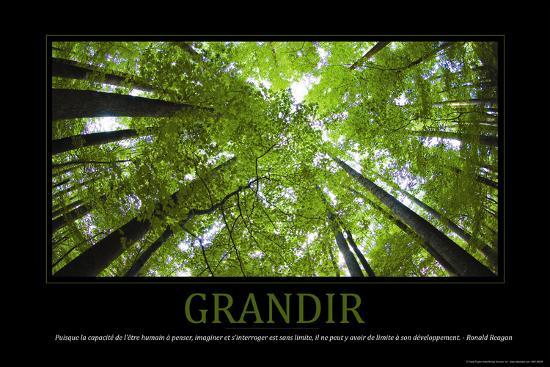 Photo, , large