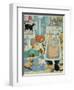 Grandma and 10 cats in the bathroom-Linda Benton-Framed Premium Giclee Print