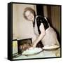 Grandma Cooks in the Kitchen, Ca. 1952-null-Framed Stretched Canvas