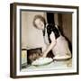 Grandma Cooks in the Kitchen, Ca. 1952-null-Framed Premium Photographic Print