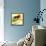 Grandma’s House-Jazzberry Blue-Framed Stretched Canvas displayed on a wall